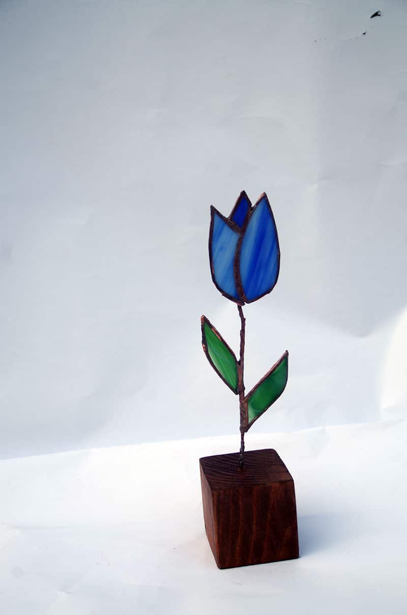Tulipán azul